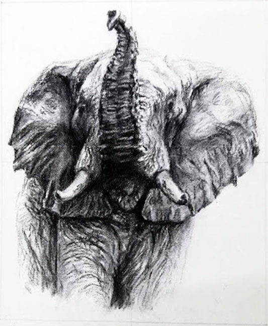 絵画クラス9月の制作・木炭画