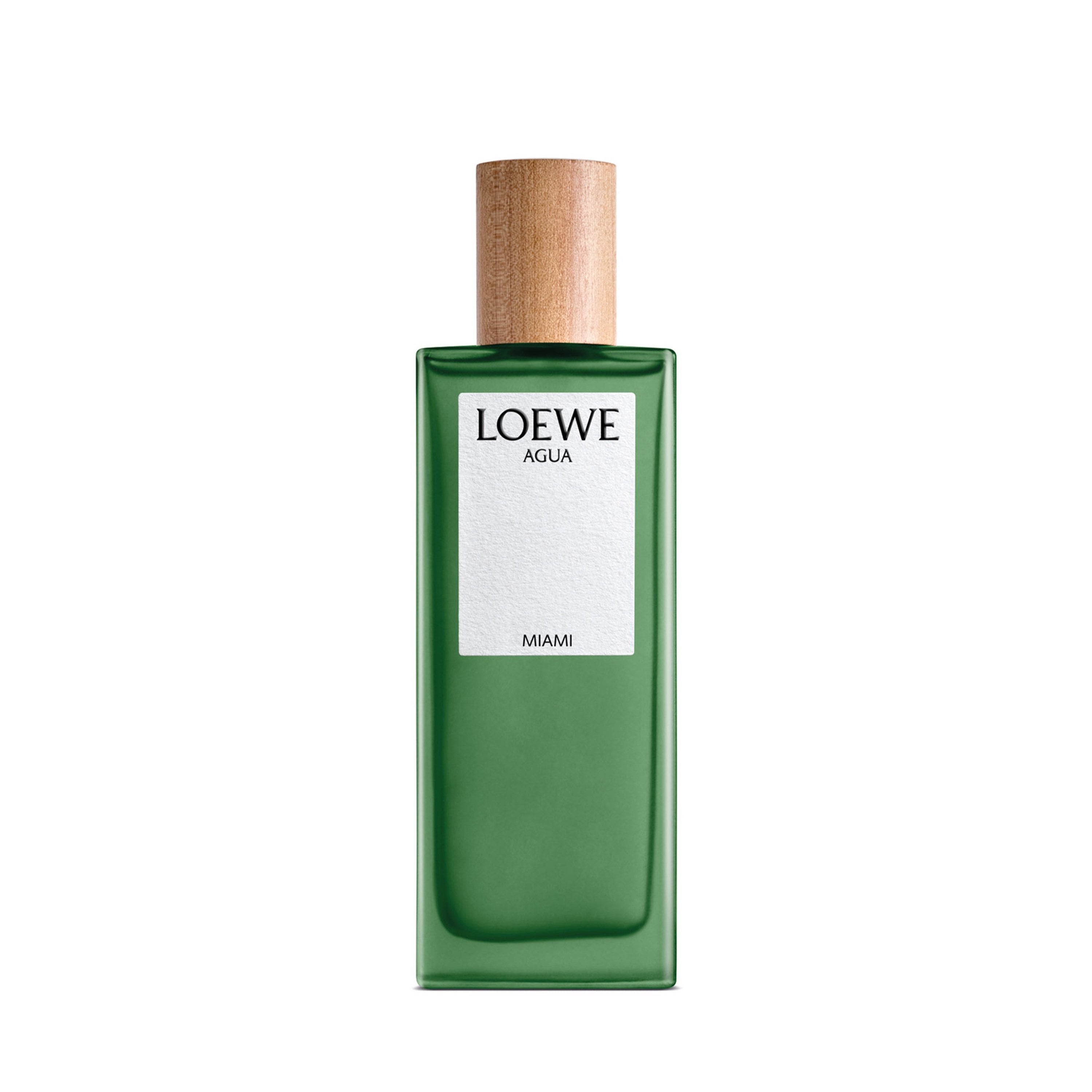 LOEWE AGUA MIAMI ロエベ アグア マイアミ – Coén