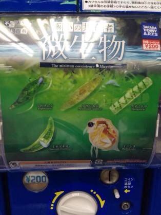 科学ガチャ①-1「不思議生物大百科極小の共存者 微生物」 | ふたばの