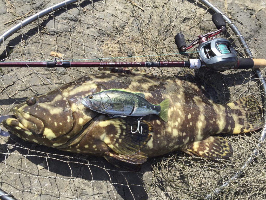 エクストラヘビーモデルにあたるBC4 5.10XHでのビッグベイトゲーム