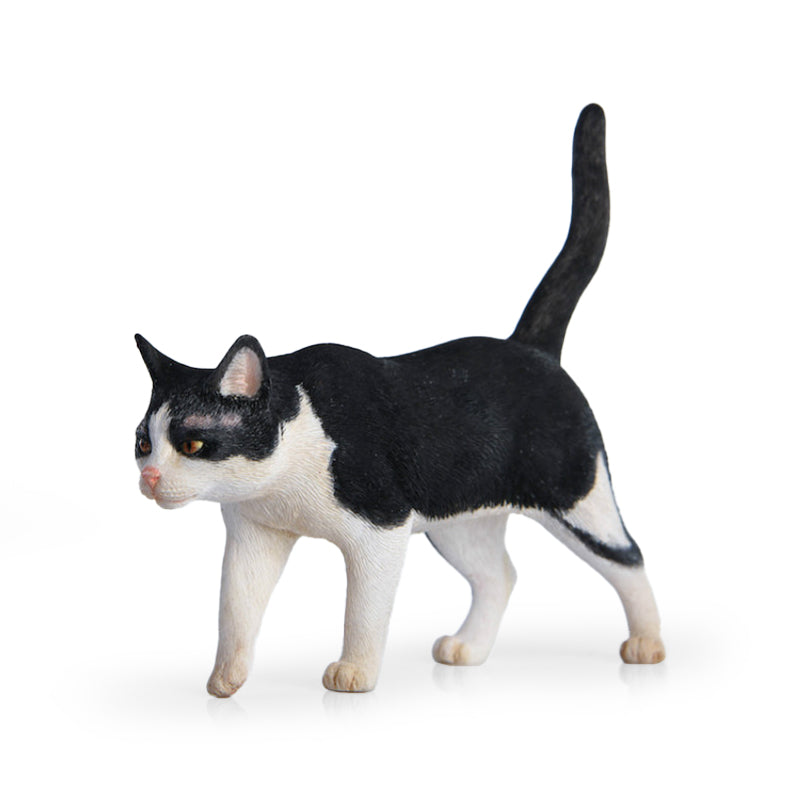 JXK 003 中華田園猫 JXK Studio出品