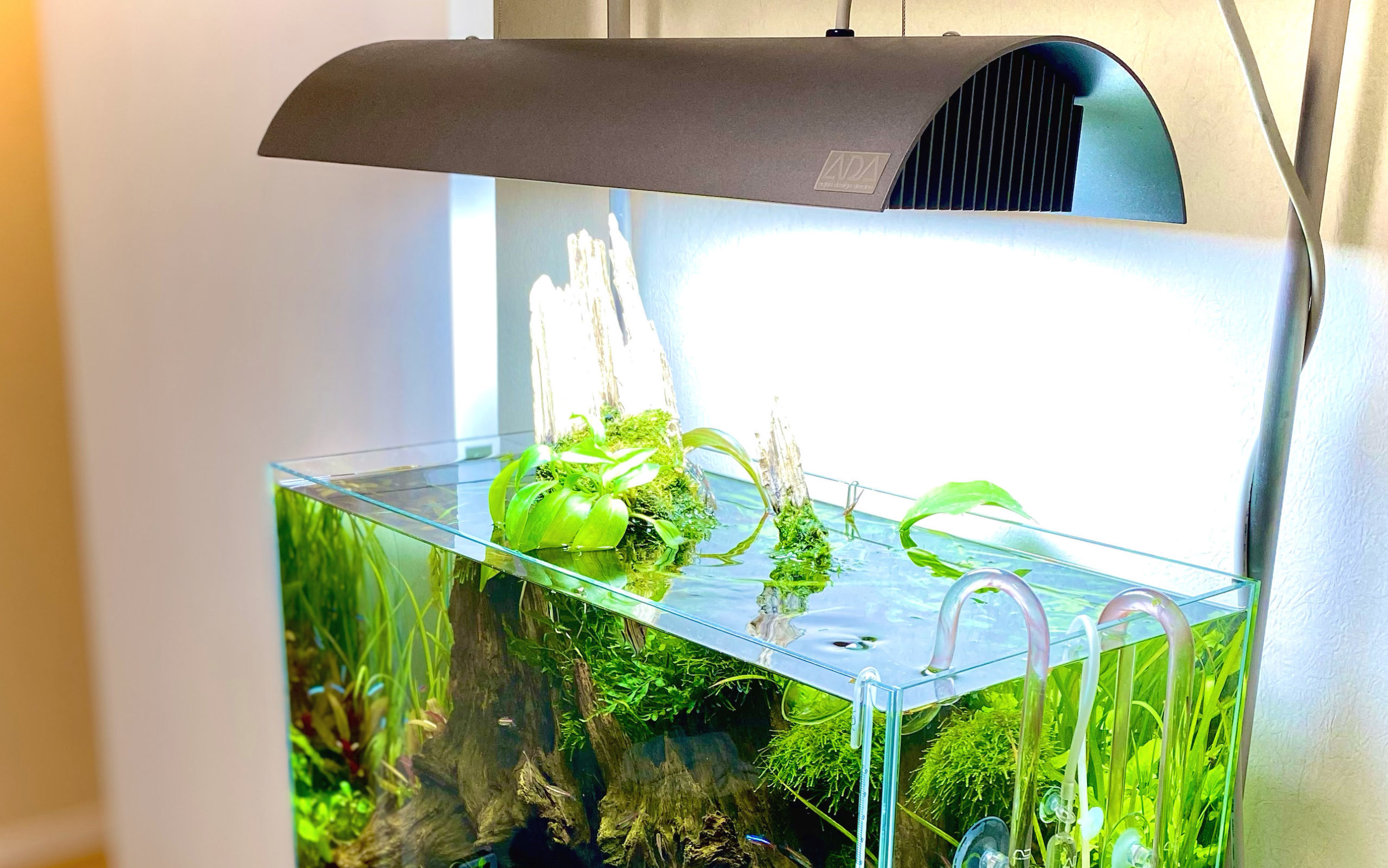 廃盤だけどレビュー #01 ソーラー2 - The Scaper's Room