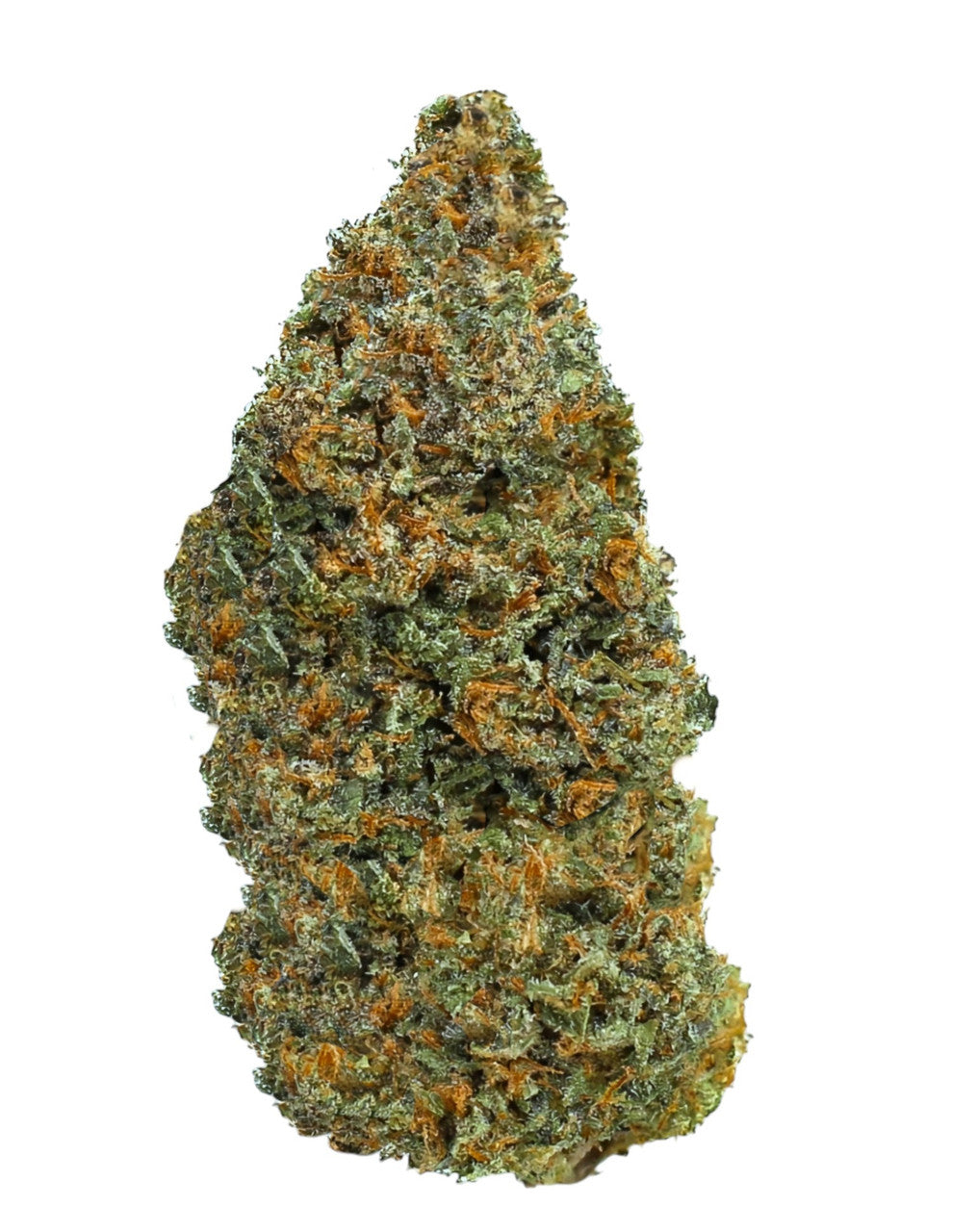 Tangie – PlainJane