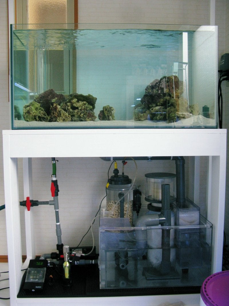 スキマー【HS-850】☆マグマ泡立ち☆ | ミスズの水槽観察日記