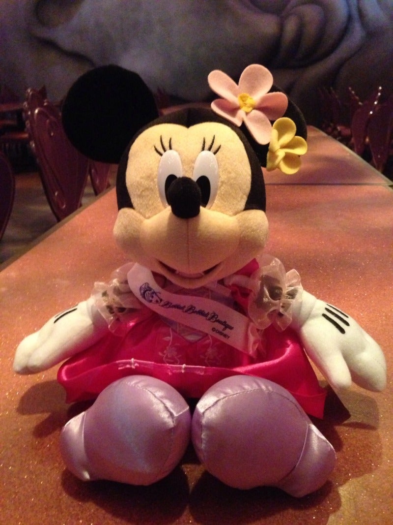 ☆ビビディ・バビディ・ブティックのプリンセスミニー | D24～オシャレ