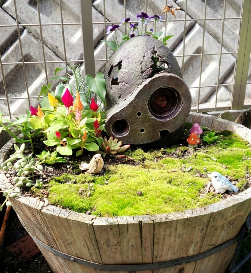 ラピュタな寄せ植え♪ | あおい☆のブログ