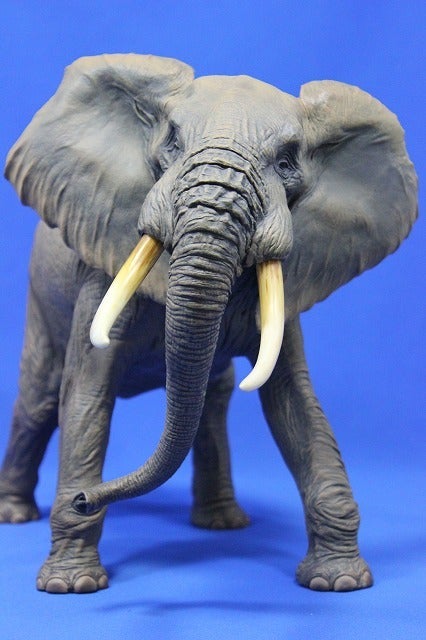 メガソフビアドバンス アフリカゾウ（MSA-007） | ぽんのじ