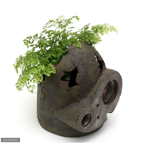 ジブリプランター 天空の城ラピュタ ロボット兵の思い【HLS_DU】 関東