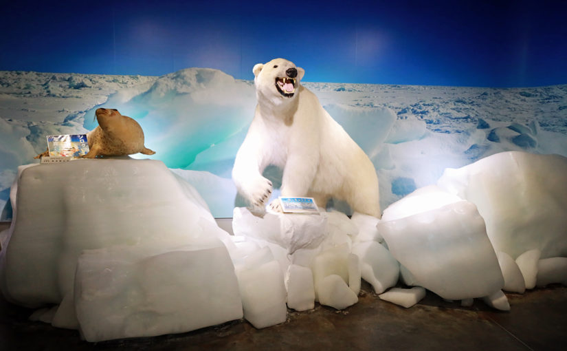 オホーツク流氷科学センターGIZA】本物の流氷に触れる氷点下20度の展示