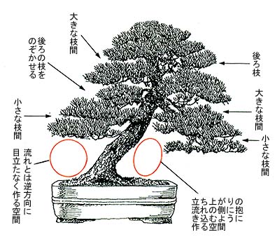12.空間操作│初歩から学べる盆栽教室│盆栽、盆栽書籍、盆栽鉢の通販