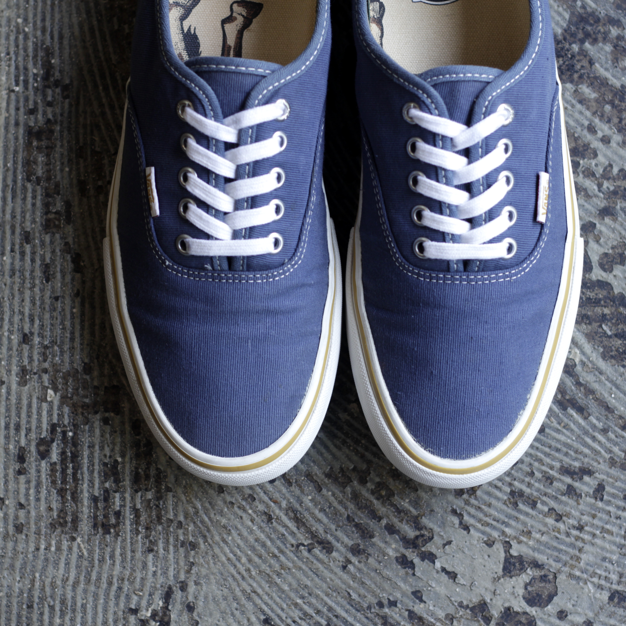 VANS × ANTI HERO Authentic Pro “JULIEN STRANGER” | NICE des