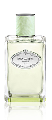 PRADA / LES INFUSION DE PRADA | プラダ / インフュージョン ドゥ