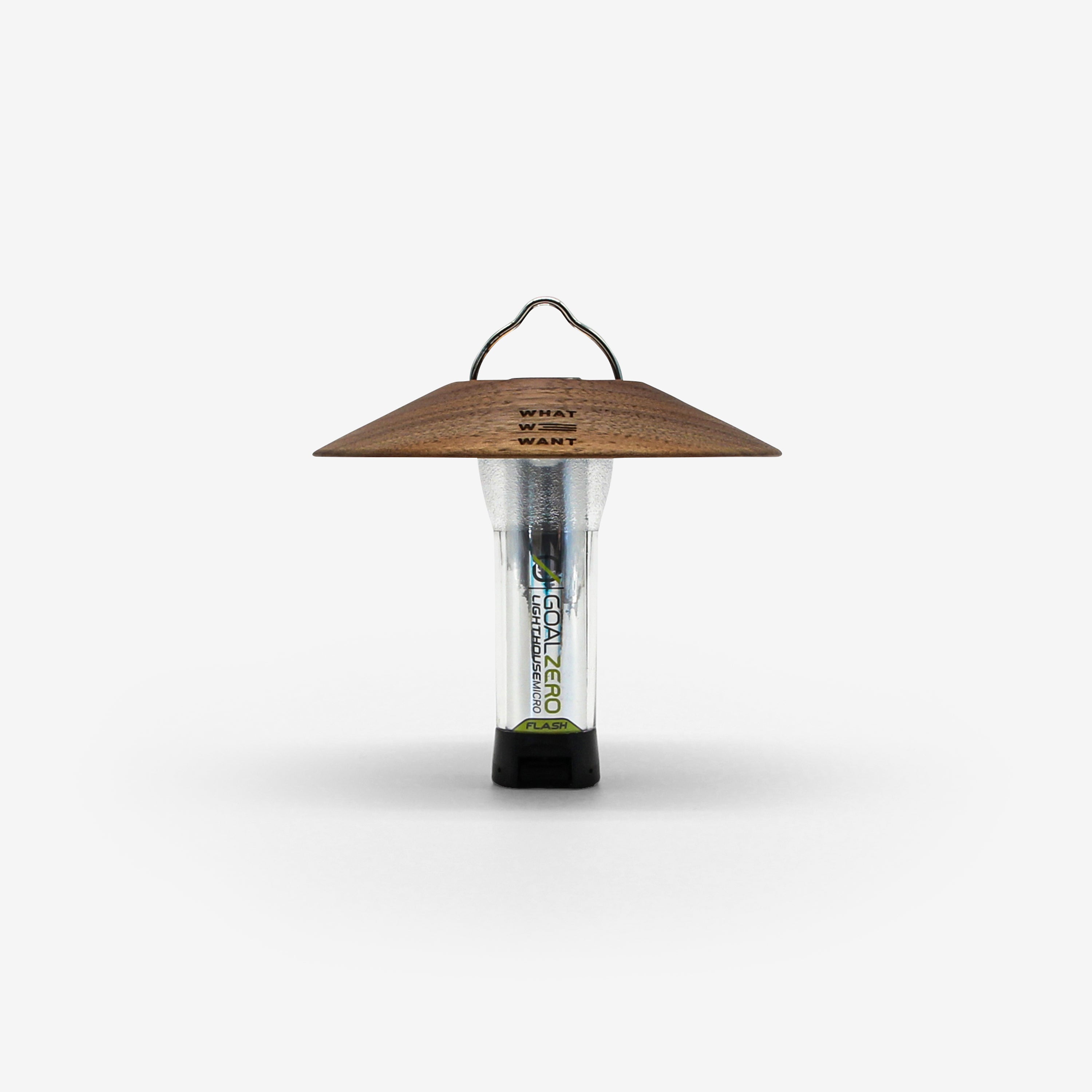 WWW_GOALSHADE_TYPE1 – WHAT WE WANT