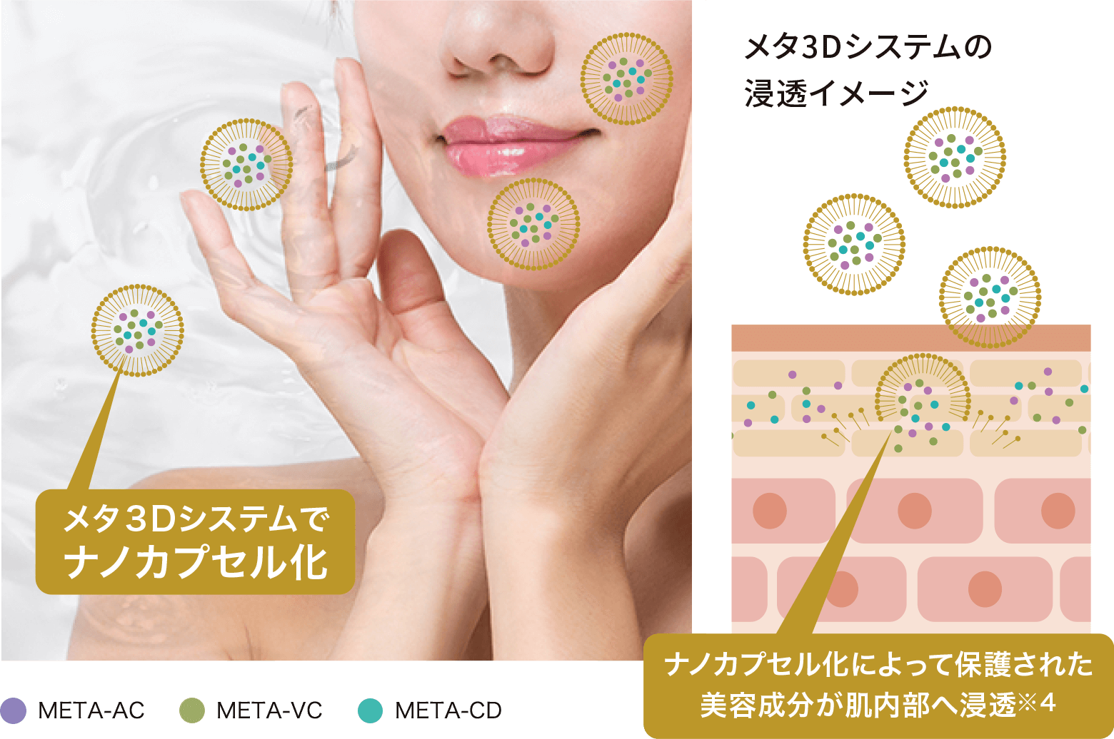 グランフェイスセラム | 肌再生と毛穴レス。サロン専売ブランド 4BPRO