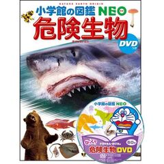 小学館の図鑑NEO〔新版〕 昆虫 DVDつき 新版 通販｜セブンネット