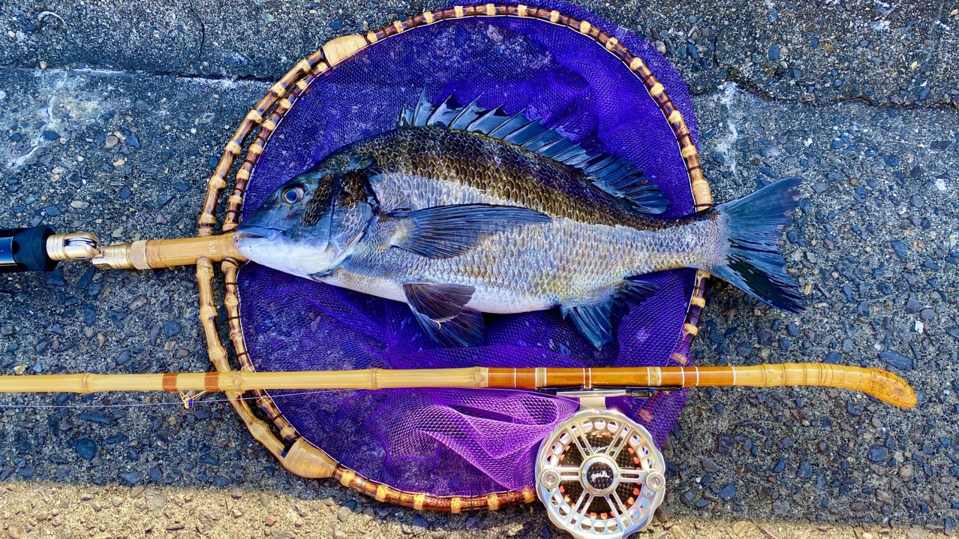 和竿 黒鯛 ヘチ釣り 大阪北港 布袋竹 拘り