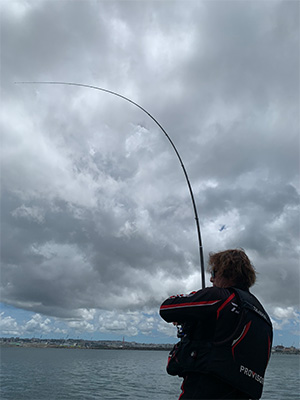 剛徹(ロッド)｜DAIWA