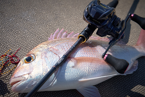 紅牙 MX(ロッド)｜DAIWA