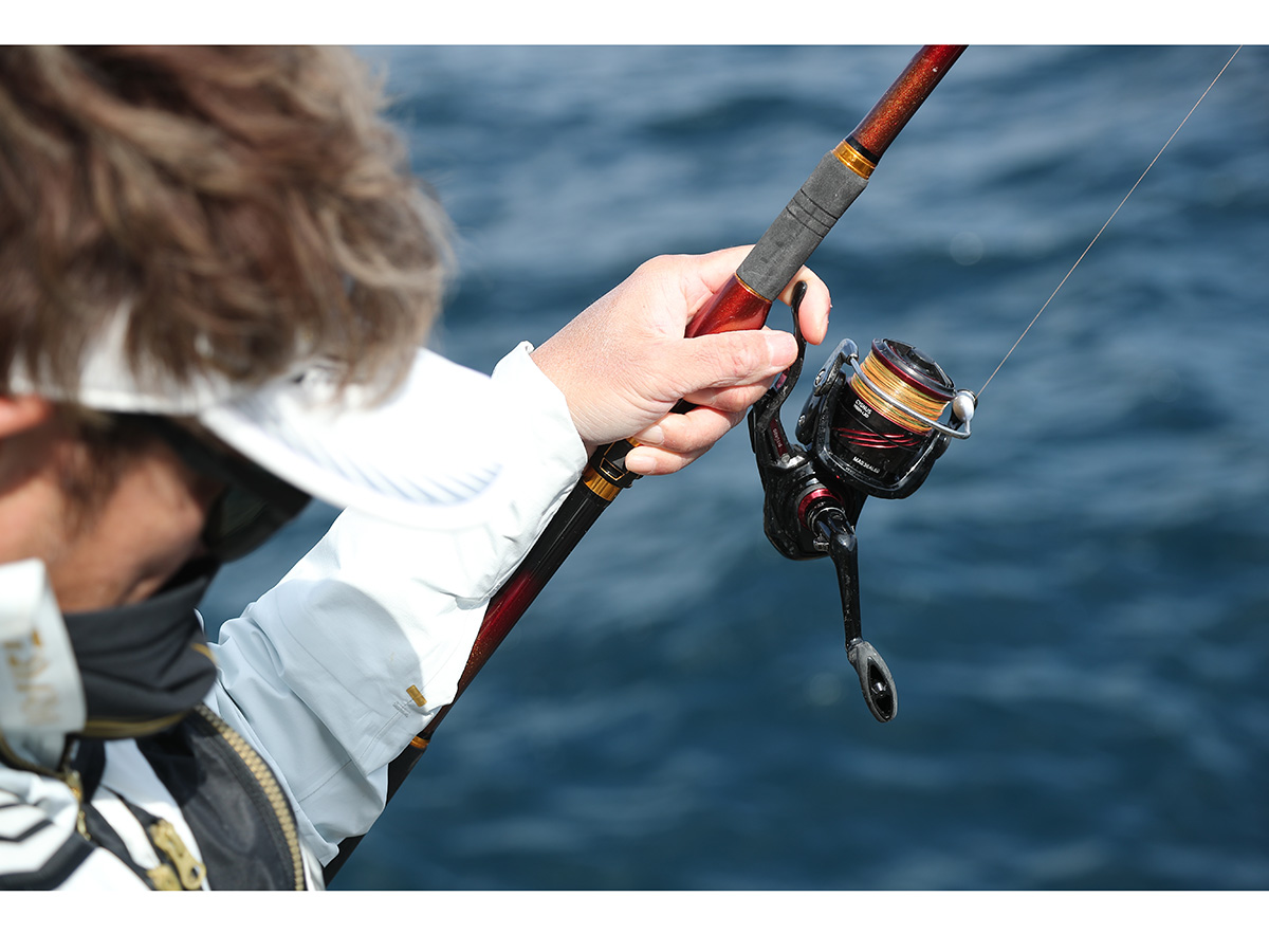 シグナス(リール)｜DAIWA