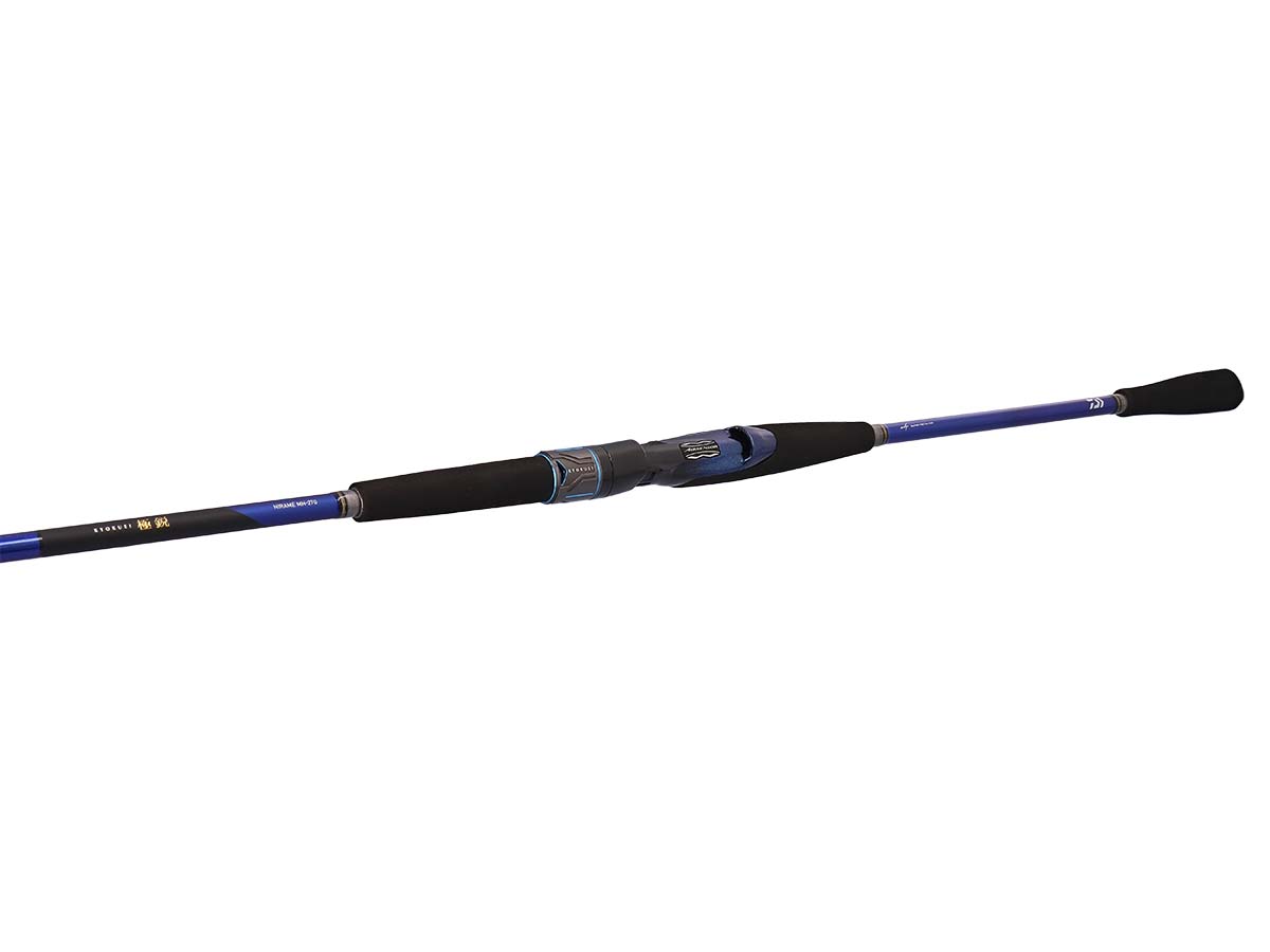 極鋭 ヒラメ(ロッド)｜DAIWA