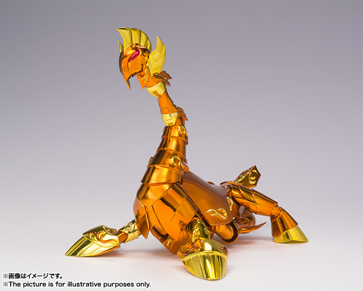 聖闘士聖衣神話EX シードラゴンカノン | 魂ウェブ