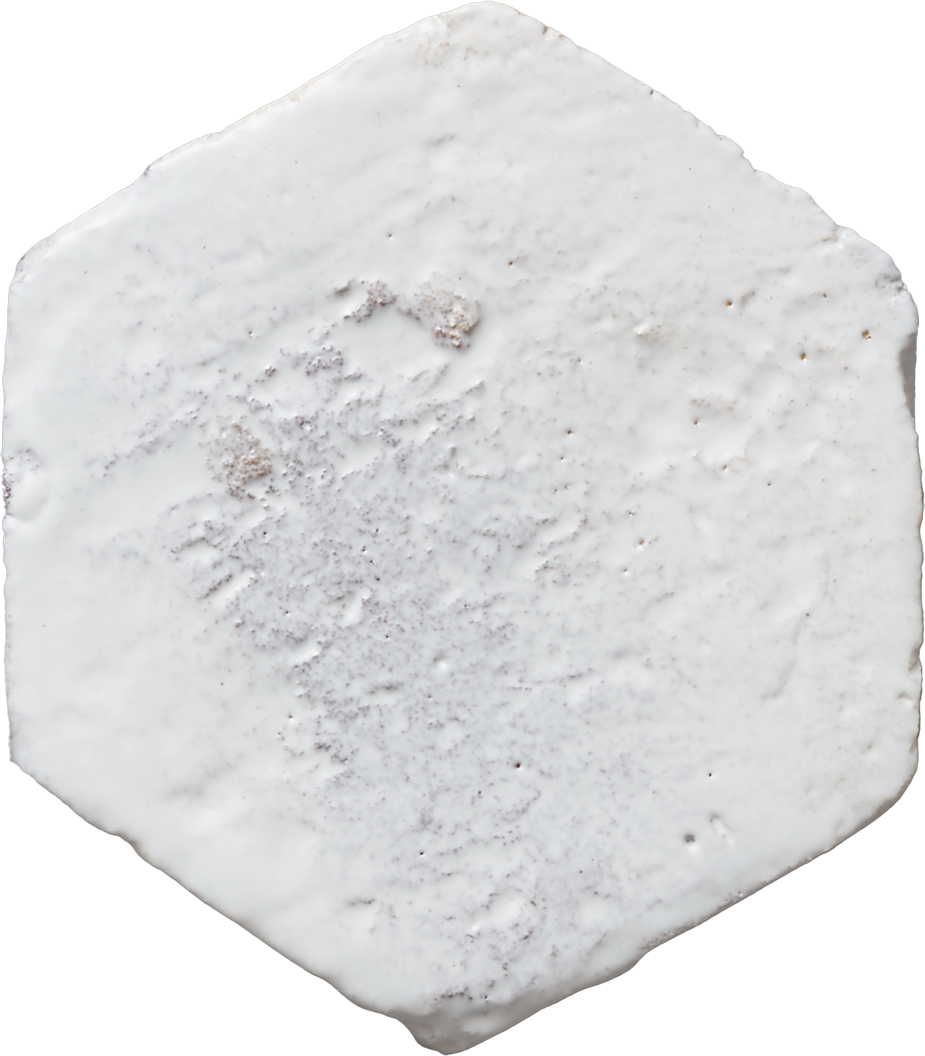 BIC-HLU | Bicottura | BISCUIT | tiles by HiRATA TILE | 新築