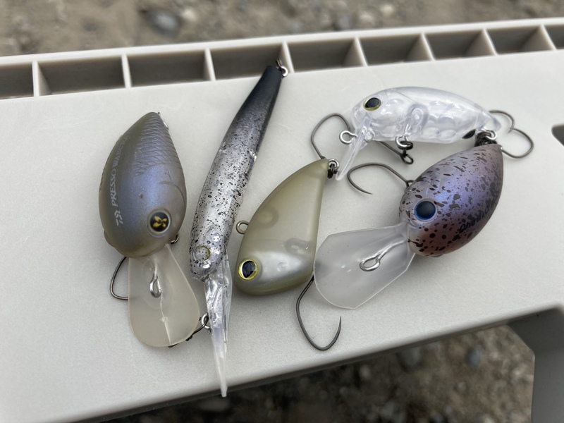 エリアトラウト トップウォータープラグ41個セット エリアトラウト用