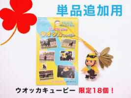 ウオッカ2007日本ダービー優勝記念写真集 | サラブレッドアート