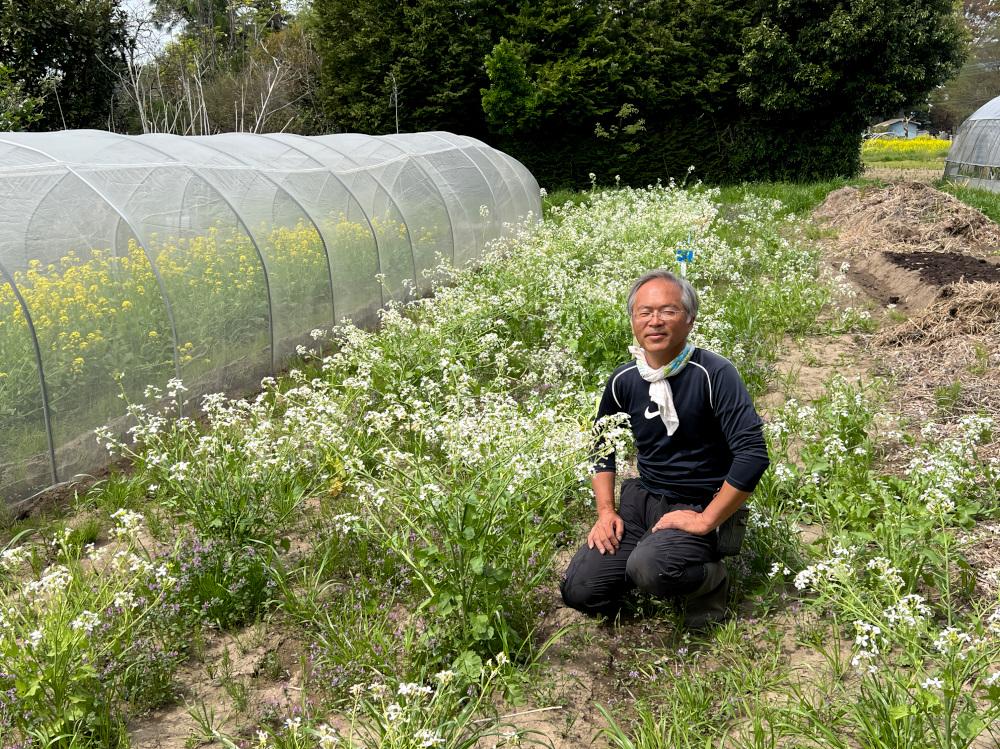 自然の摂理に従えば自ら育つ」無肥料・無農薬「自然栽培」で育つ野菜の