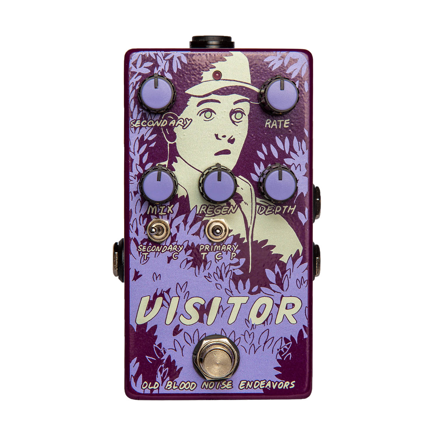 Old Blood Noise Endeavors Visitor | The Pedal Zone