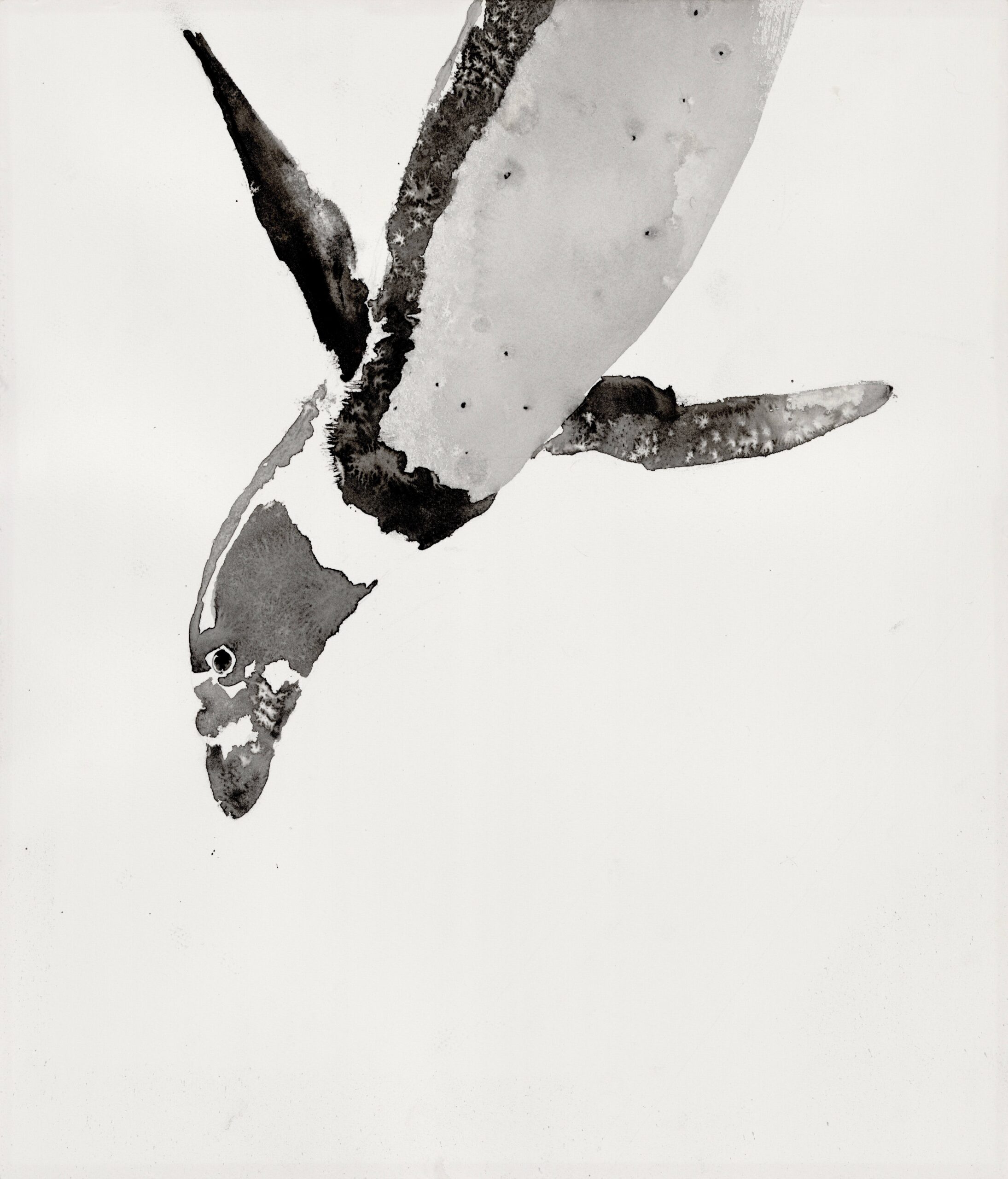 Penguin | 27wtc ｜インテリア絵画 アートの専門通販 thisisgallery
