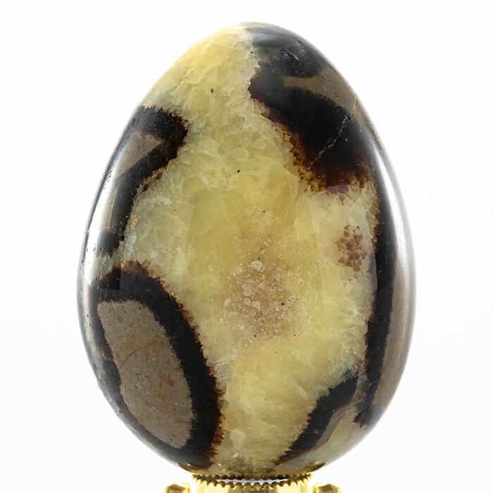 楽天市場】セプタリアンの通販