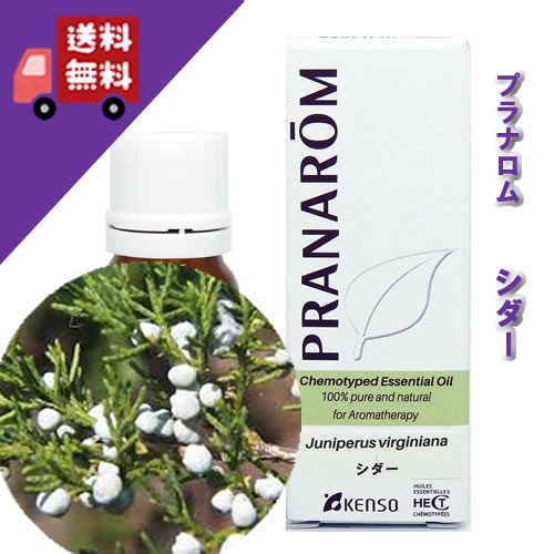 楽天市場】プラナロム ジャスミンの通販