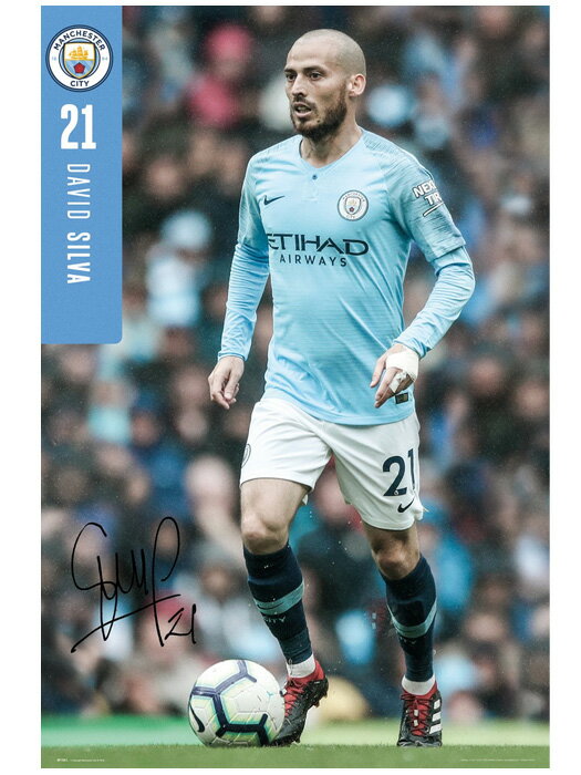 楽天市場】ダビド・シルバ（サッカー・フットサル｜スポーツ