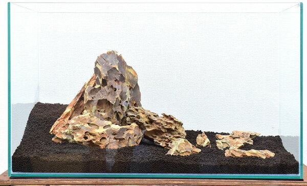 楽天市場】アクアリウム 気孔石（ペット・ペットグッズ）の通販