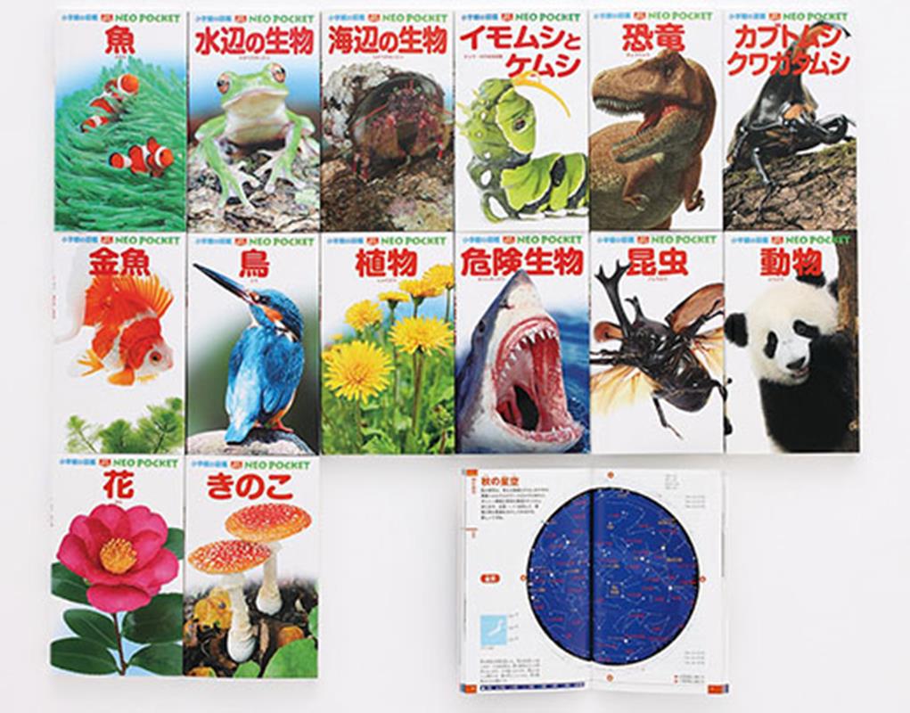 楽天市場】小学館の図鑑neo 20巻セット（本・雑誌・コミック）の通販