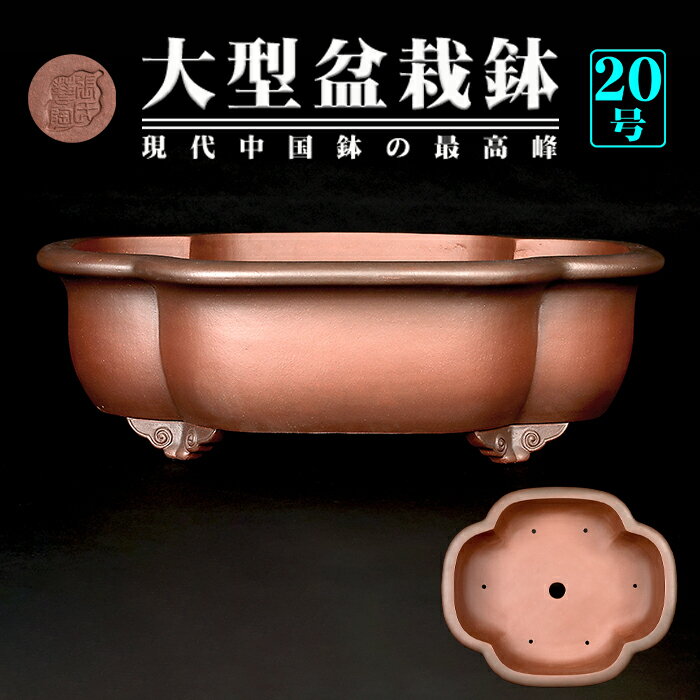 楽天市場】盆栽鉢 20号（種類（植木鉢）盆栽鉢）の通販