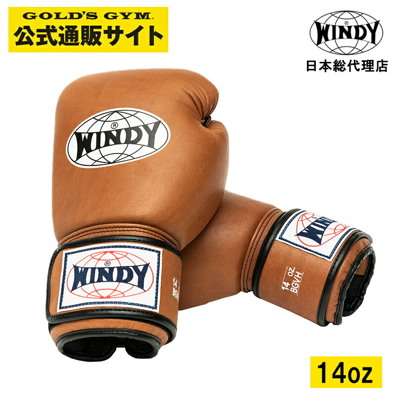 楽天市場】windy グローブ 14の通販