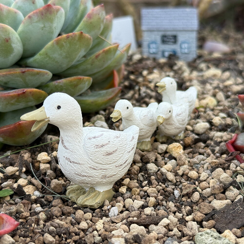 楽天市場】プランター アヒルの通販