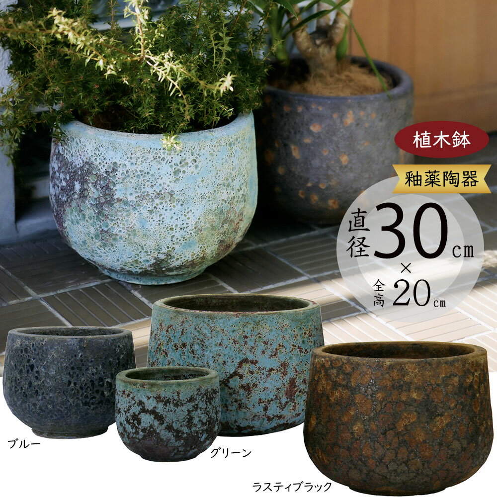 楽天市場】青 ブルー（サイズ（植木鉢）10 ～ 12号）（花・ガーデン