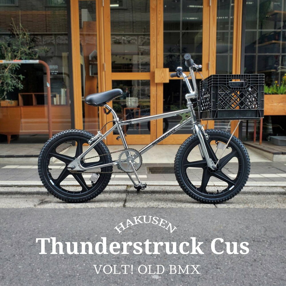 楽天市場】オールド bmx（BMX｜自転車・サイクリング）：スポーツ