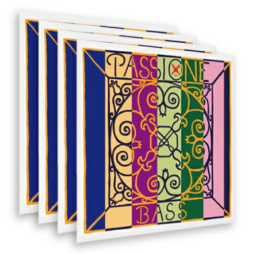 楽天市場】passione コントラバス弦 セットの通販 コントラバス弦