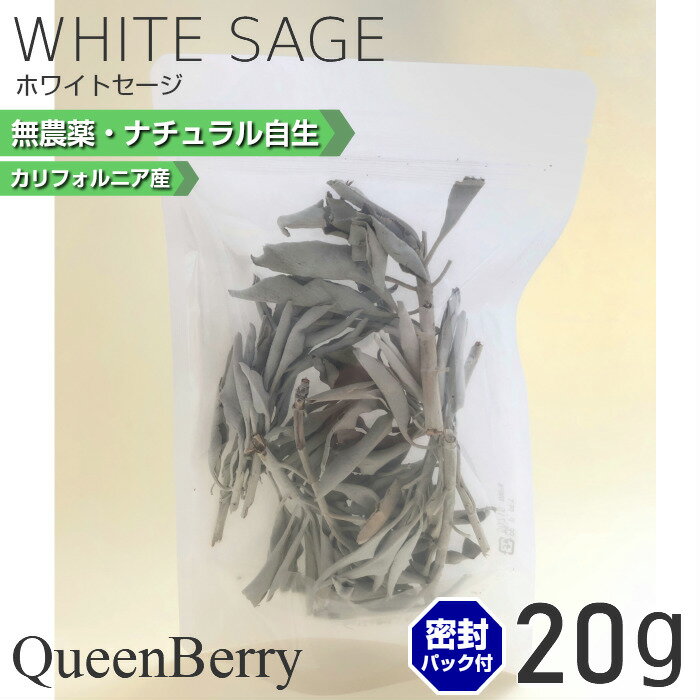 楽天市場】ホワイトセージ カリフォルニア産の通販