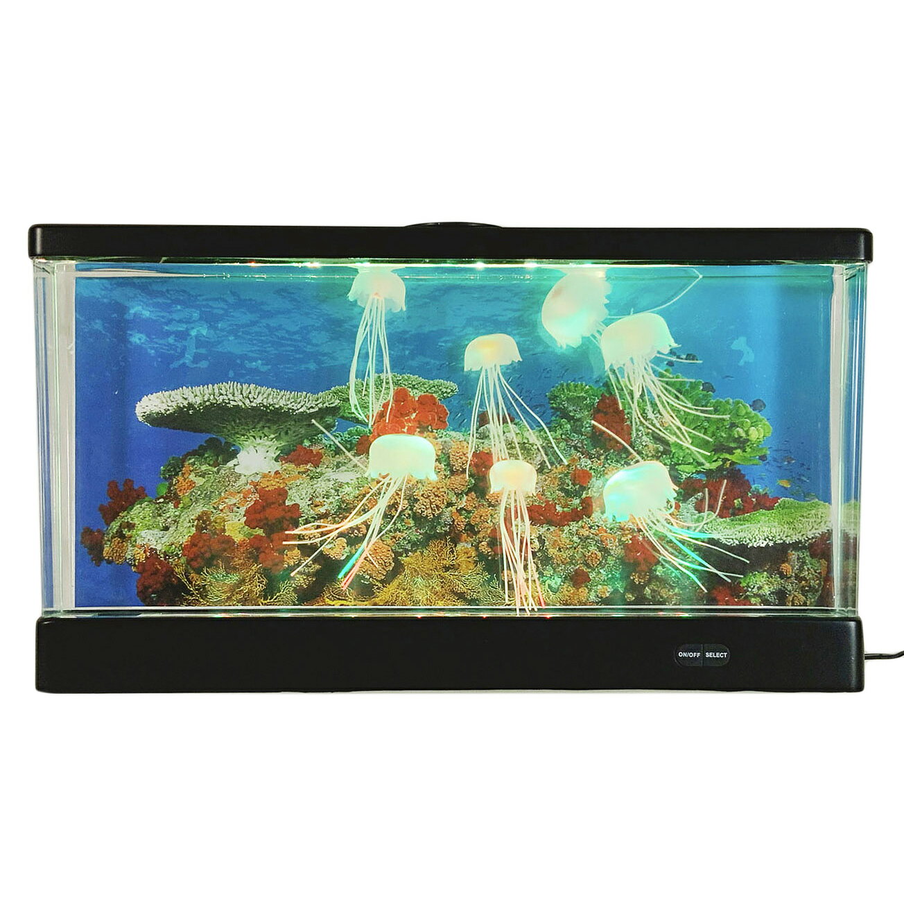 楽天市場】アクアリウム クラゲ（水槽・アクアリウム｜熱帯魚