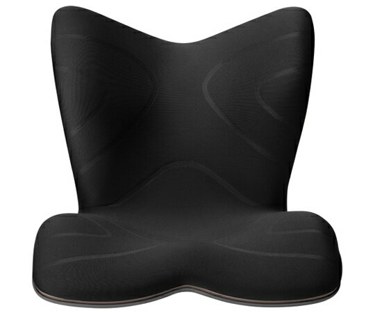 楽天市場】スタイルプレミアム style premium dxの通販