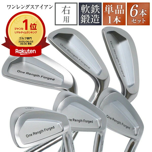 楽天市場】NOOG ワンレングス アイアン（アイアン｜メンズクラブ