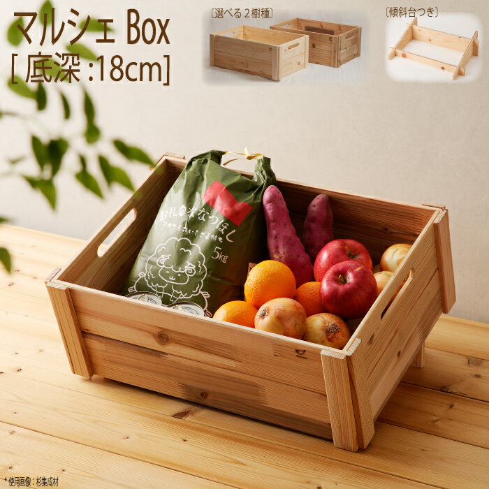 楽天市場】ベジタブルボックスの通販