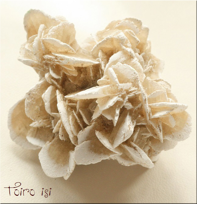 サハラ砂漠の石(薔薇の石) 【公式通販】