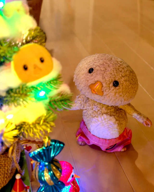 Tokyo Togari's official HP | 東京トガリ公式HP