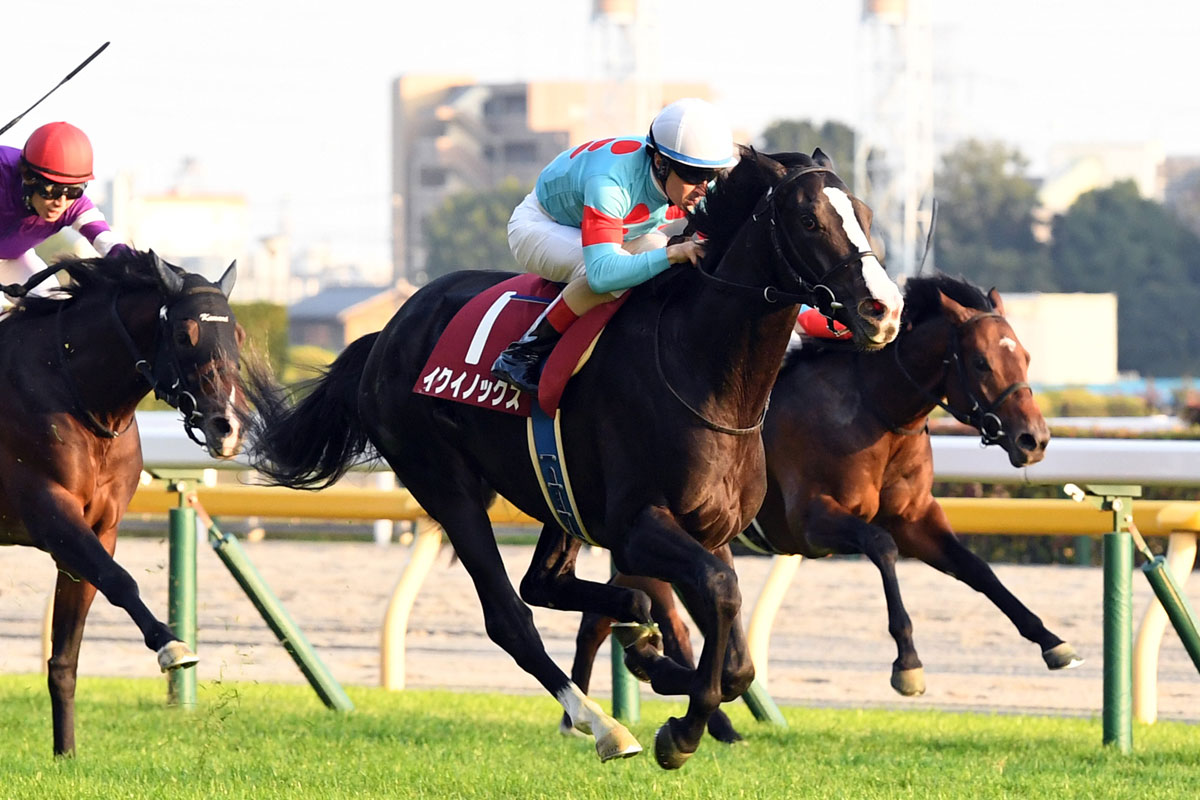 イクイノックス 2021 東スポ杯2歳C・ルメール騎手直筆サイン 鬣